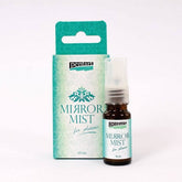 Εφέ καθρέφτη για πλαστικό -Mirror Mist για πλαστικό Pentart 10ml