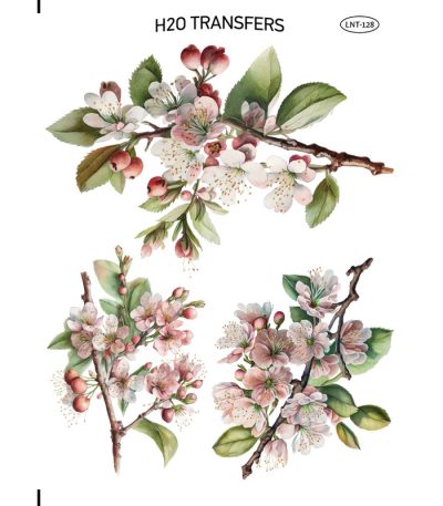 Τράνσφερ Νερού - Easy Transfer, Κλαδιά αμυγδαλιάς, 25x35     LNT-128