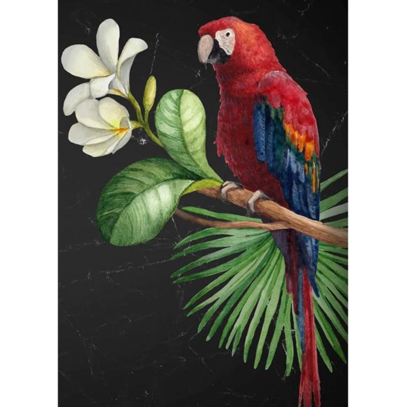 Χαρτί Decoupage  για έπιπλα  - Parrot