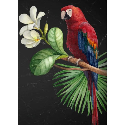 Χαρτί Decoupage  για έπιπλα  - Parrot